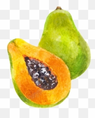 Papaya Png - Transparent Papaya Cartoon Png,Papaya Png
