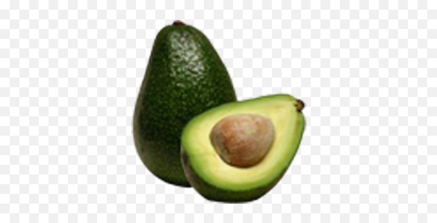 aguacate-avocado-in-urdu-name-png-aguacate-png-free-transparent-png