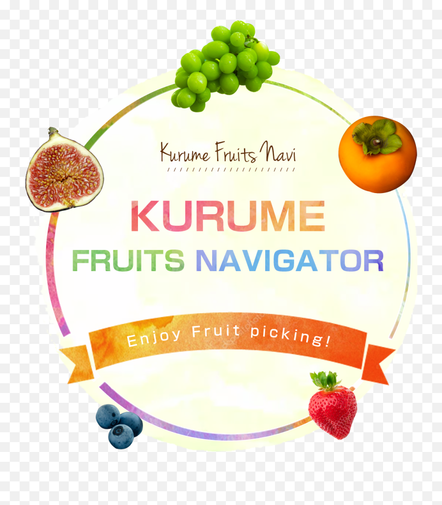 Kurume Fruits Navigator Enjoy Fruit - Superfood Png,Fruits Transparent