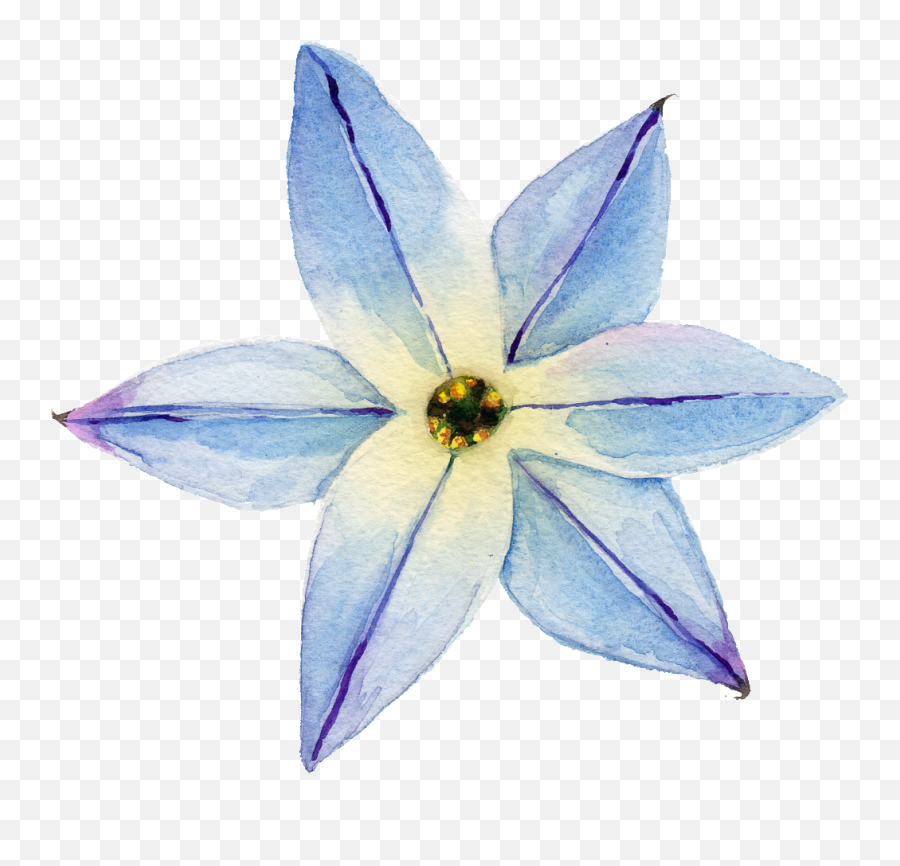 Download Elegant Transparent Watercolor Flowers Free - White Watercolorflowers Png,Snapchat Flower Crown Png