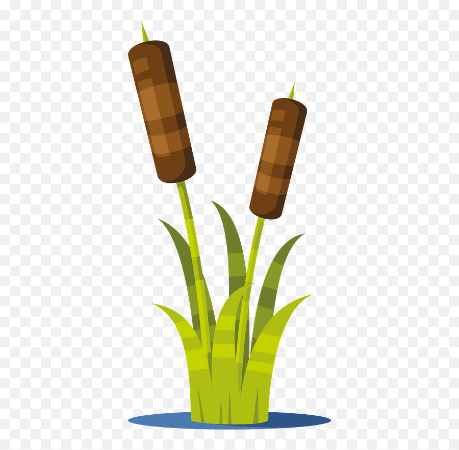 Reed Plant Clipart - Reed Plant Clipart Png,Reed Png