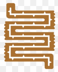 Anal Mucus Discharge Understanding The Causes For Rectal - Vertical Png,Farting Icon