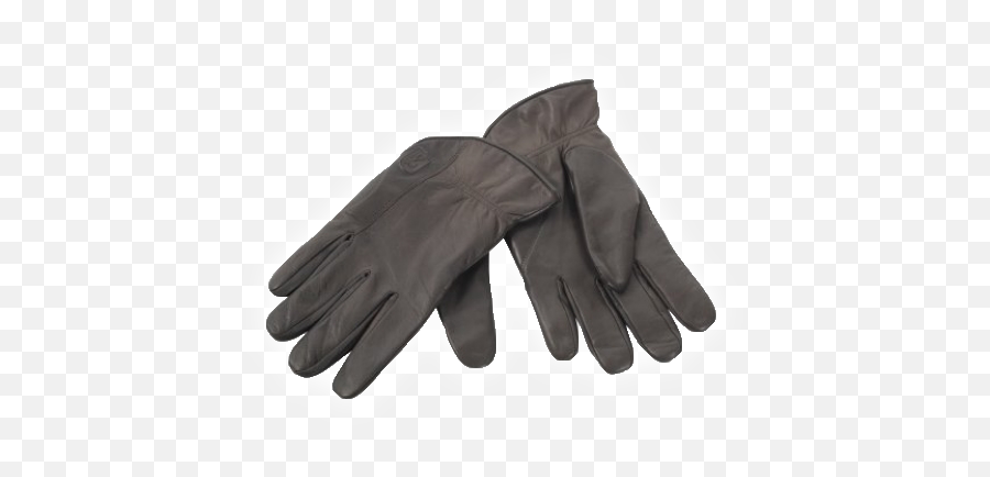 Photo Png Icon Favicon - Deerhunter Winter Gloves,Icon Cold Weather Gloves