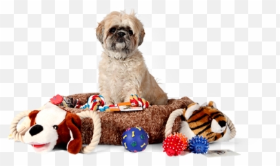 Testimonials For Family Dog Training Margaret Daul Menlo Park - Dog Accessories Png,Dog Buddy Icon