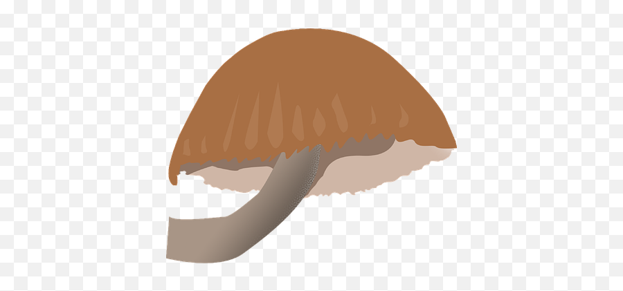 100 Free Mario U0026 Nintendo Images - Mushroom Png,Super Smash Bros 4 Mushroom Icon