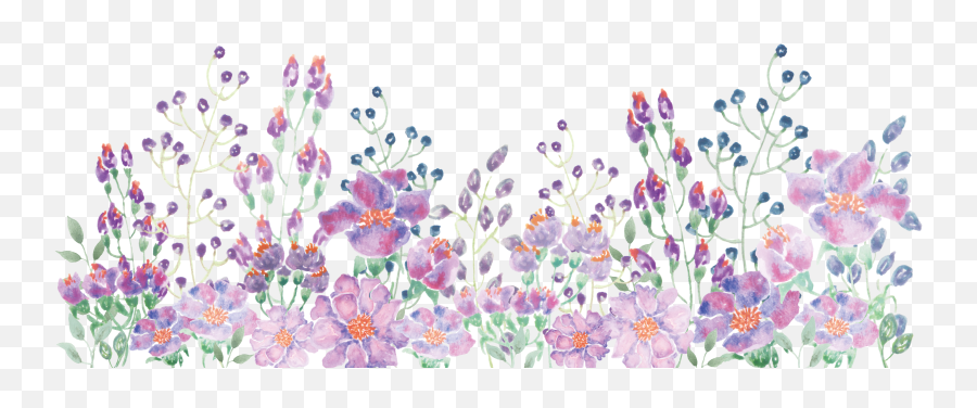 Download Free Png Hd Watercolor Painting Floral Design - Purple Watercolor Flowers Free Png,Transparent Flower Images