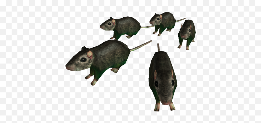 Horde Of Rats - Rbxleaks Horde Of Rats Transparent Png,Rats Png