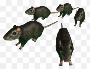 Horde Of Rats - Rbxleaks Horde Of Rats Transparent Png,Rats Png