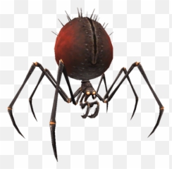 Spider Transparent - Fantasy Png