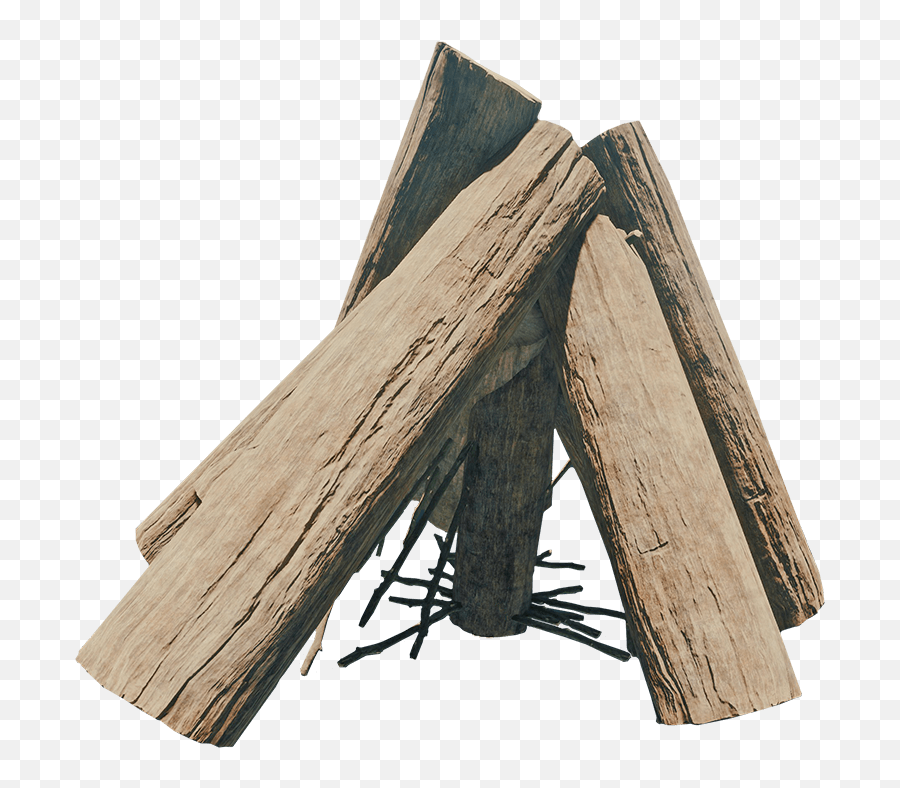 Bonfire - Official The Forest Wiki Wood For Campfire Png,Bonfire Png
