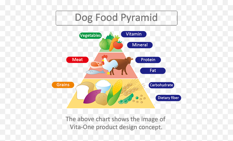 Nippon Pet Food Coltd Website - Sight Words Png,Food Pyramid Png