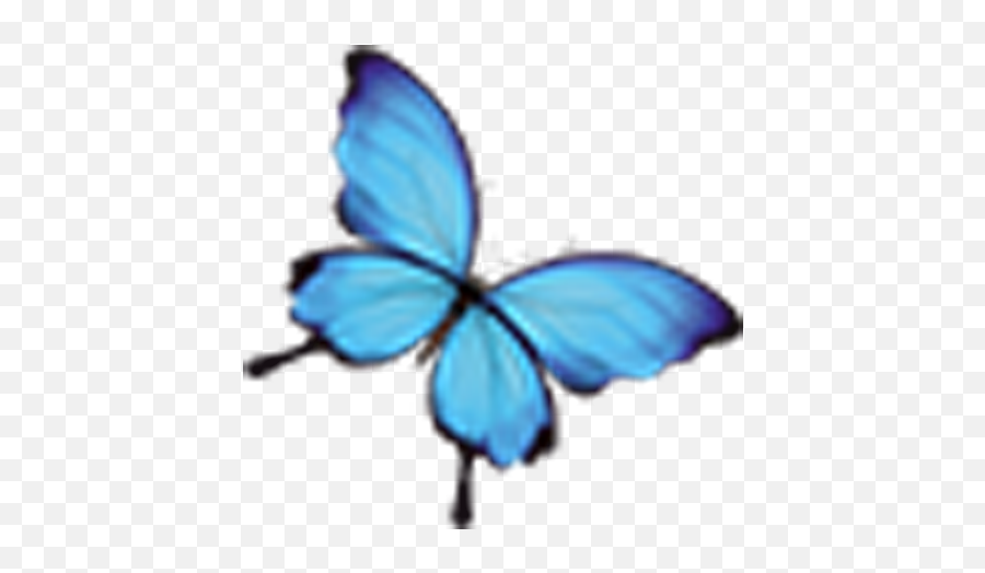 Monarch Butterfly Blue Insect - Blue Butterfly Png Download Transparent Blue Butterfly Png,Monarch Butterfly Png