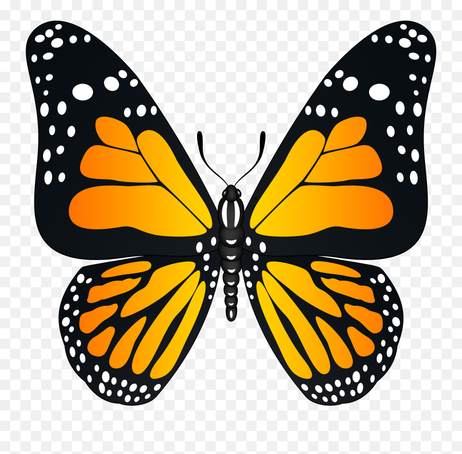 Orange Butterfly Clipart Png Yellow