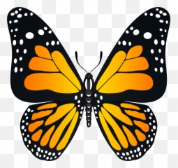 Orange Butterfly Clipart Png Yellow