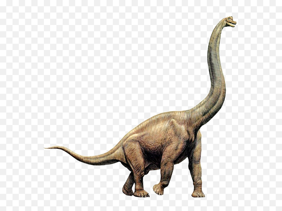 Brachiosaurus Png Image - Brachiosaurus Png,Brachiosaurus Png