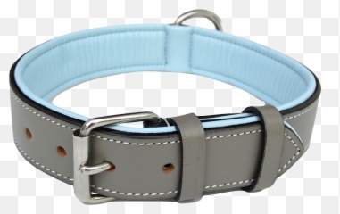 Library Of Dog Collar Banner Black And White Stock No - Padded Leather Dog Collar Png,Leash Png