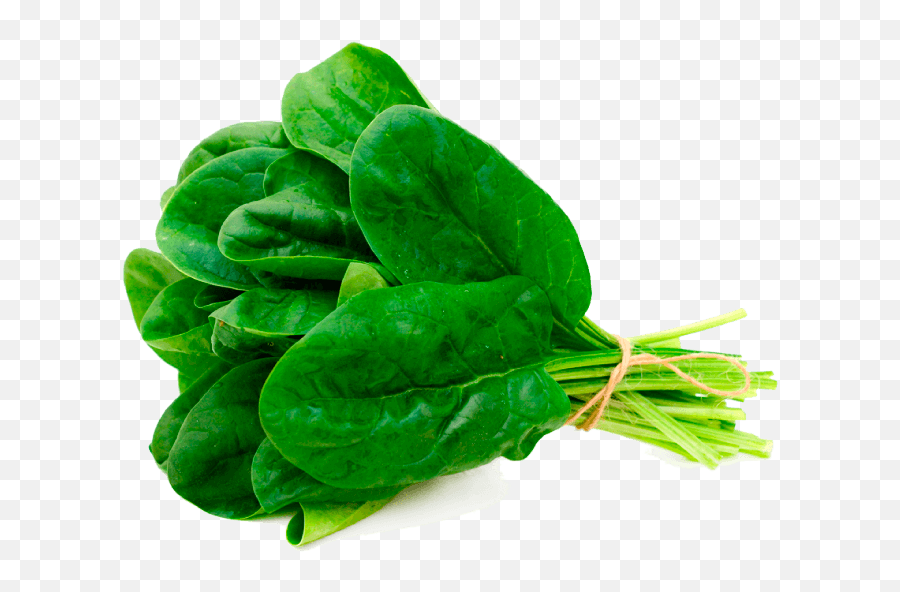Vegetable Rich In Iron - Spinach Kg Uae Png,Spinach Png