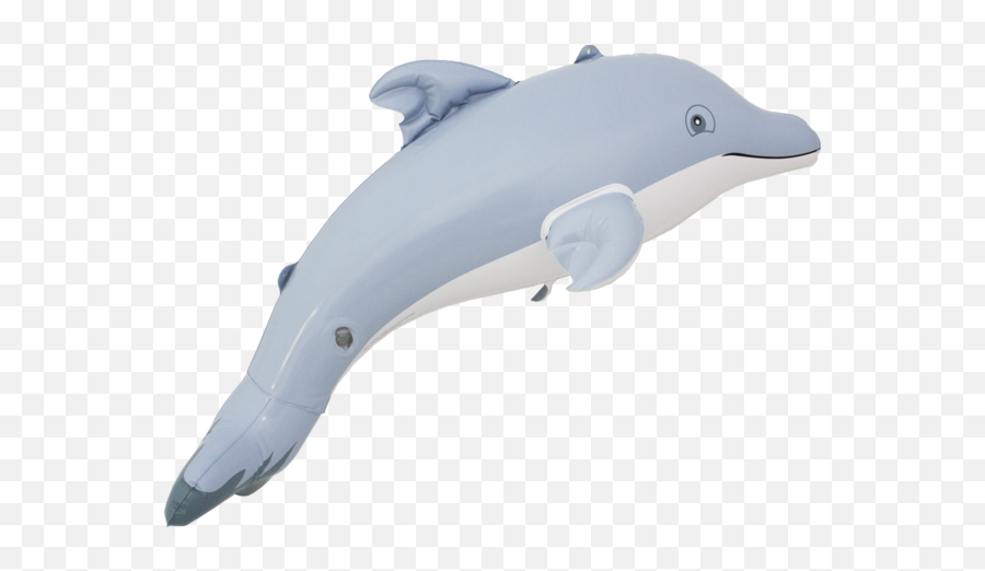 24 Dolphin Inflatable - Common Bottlenose Dolphin Png,Dolphin Transparent