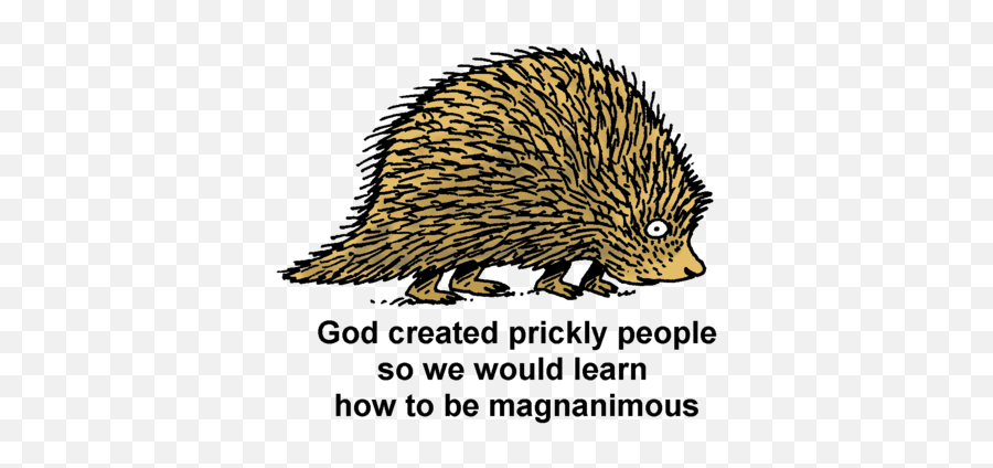 Download Porcupine - Domesticated Hedgehog Full Size Png Domesticated Hedgehog,Porcupine Png