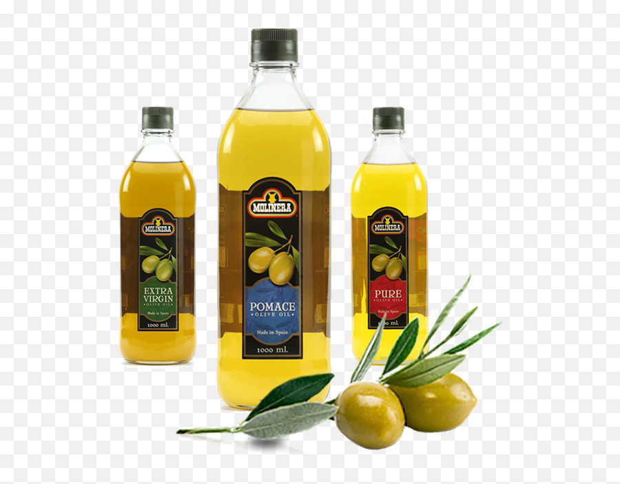 Molinera Mediterranean Olive Oil - Molinera Olive Oil Png,Olive Oil Png
