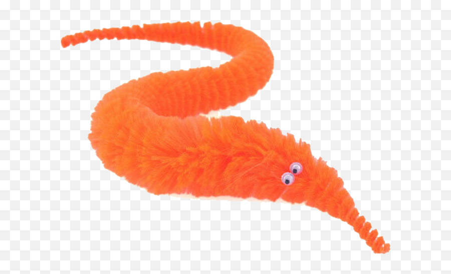 Drumboiravy - Toy Worm On String Png,Worm Transparent Background