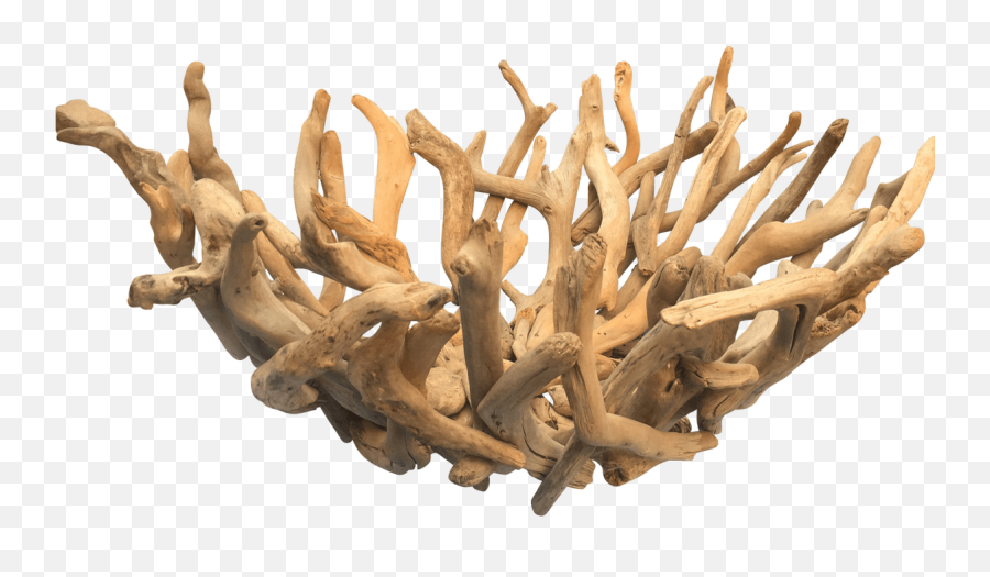Download Driftwood Hd Png - Twig,Driftwood Png