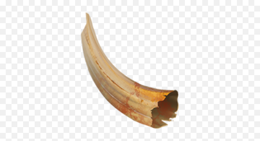 Boar Tusk - Solid Png,Tusk Png