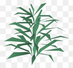 Rosemary - Rosemary Osrs Png,Rosemary Png