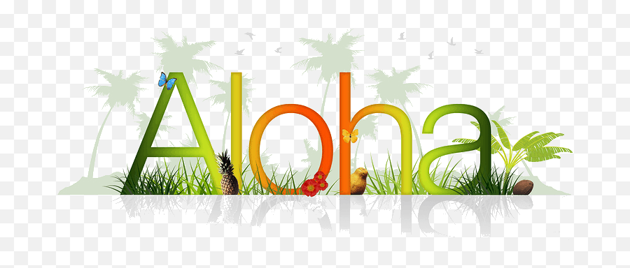 Hawaii Star Ball - Palm Tree Clip Art Png,Hawaii Png