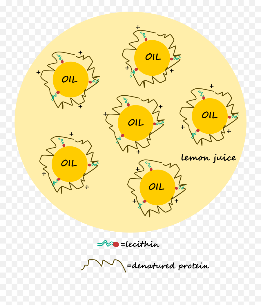 Mayo And Similar Egg Sauces Png