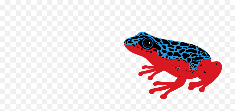 Free Photo Frog Amphibian Exotic Poison Dart Nature - Toads Png,Frog Icon Png