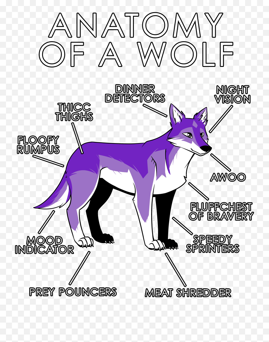 Purple Wolf Png - Anatomy Of A Wolf Anatomy Of A Wolf Anthro Wolf Furry Base,F2u Icon