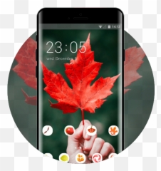 Maple Leaf Autumn Free Android Theme U2013 U Launcher 3d - Bible Quotes Canada Day png