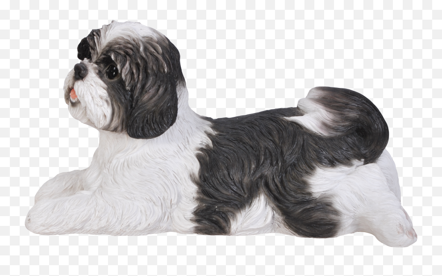 Shih Tzu Lying Down - Brownwhite Vulnerable Native Breeds Png,Shih Tzu Icon