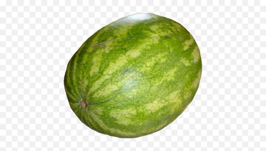 Gisoft Free Png Images - Gratuit Images Png De Fruits Sur Watermelon,Cantaloupe Png