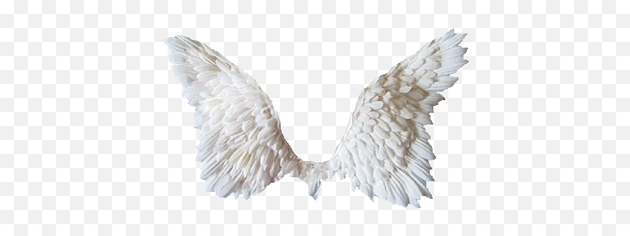 Transparent Angel Wings - Ailes D Ange Png,Angel Halo Transparent Background