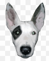 Bullterrier Head 5 Clip Art - Cara De Perro Png
