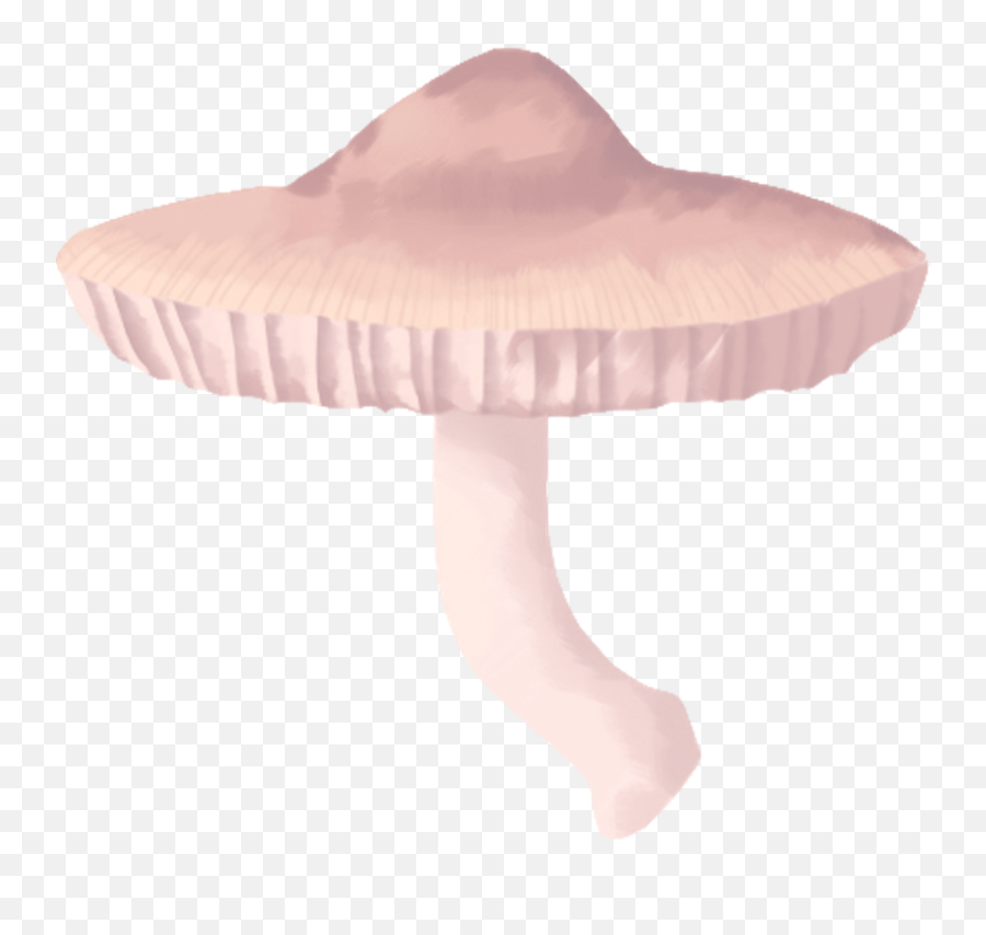 Artsy Gwimmie Gwimmiedwaws Twitter - Wild Mushroom Png,Super Smash Bros 4 Mushroom Icon