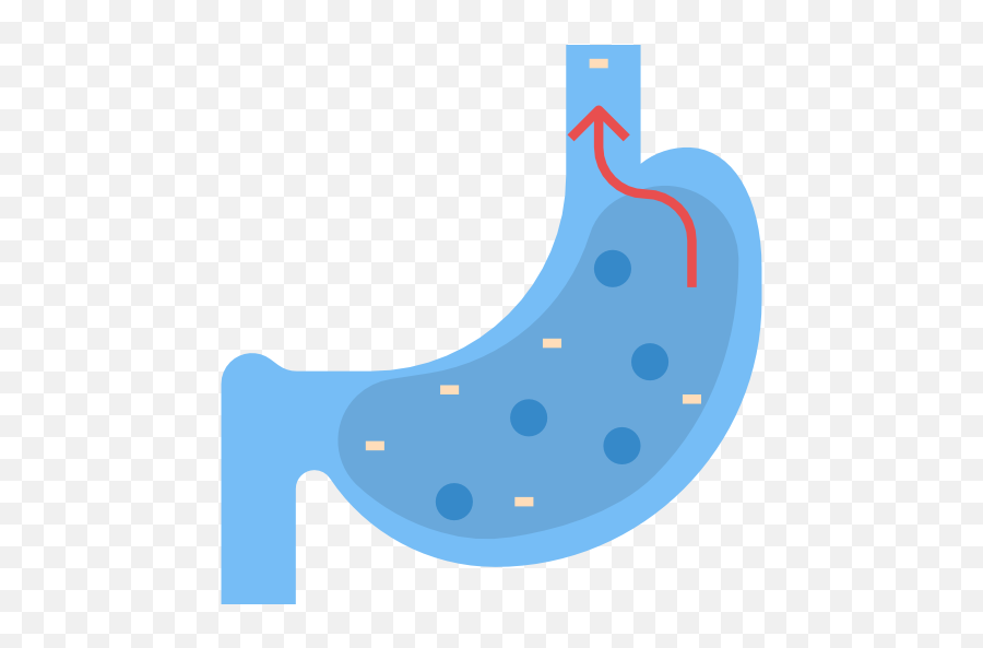 Free Icon Stomach - Dot Png,Digestion Icon
