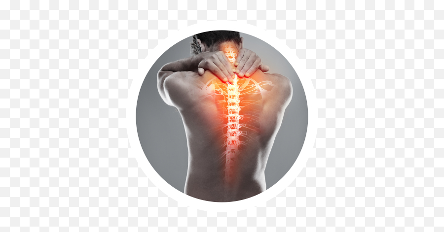 Neck And Shoulder Muscles Png Free - Back And Neck Pain,Muscles Png