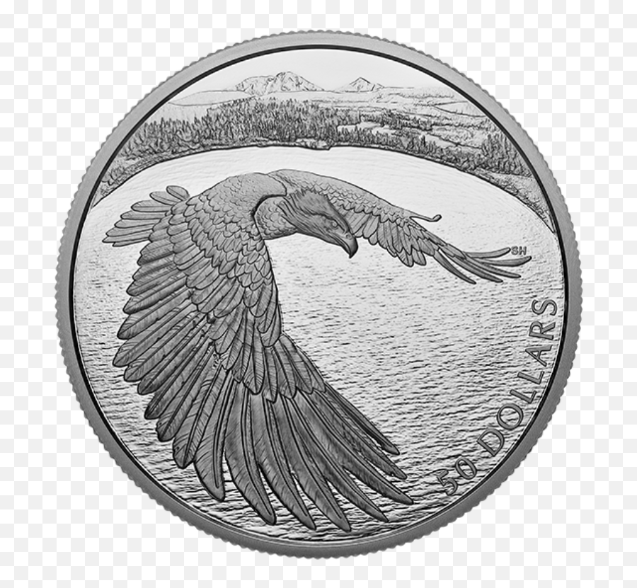 5 Oz Pure Silver Coin U2013 Courageous Bald Eagle Mintage - Bald Eagle Png,Bald Eagle Transparent