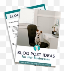 Tools Pet Business Marketing Web Design Png