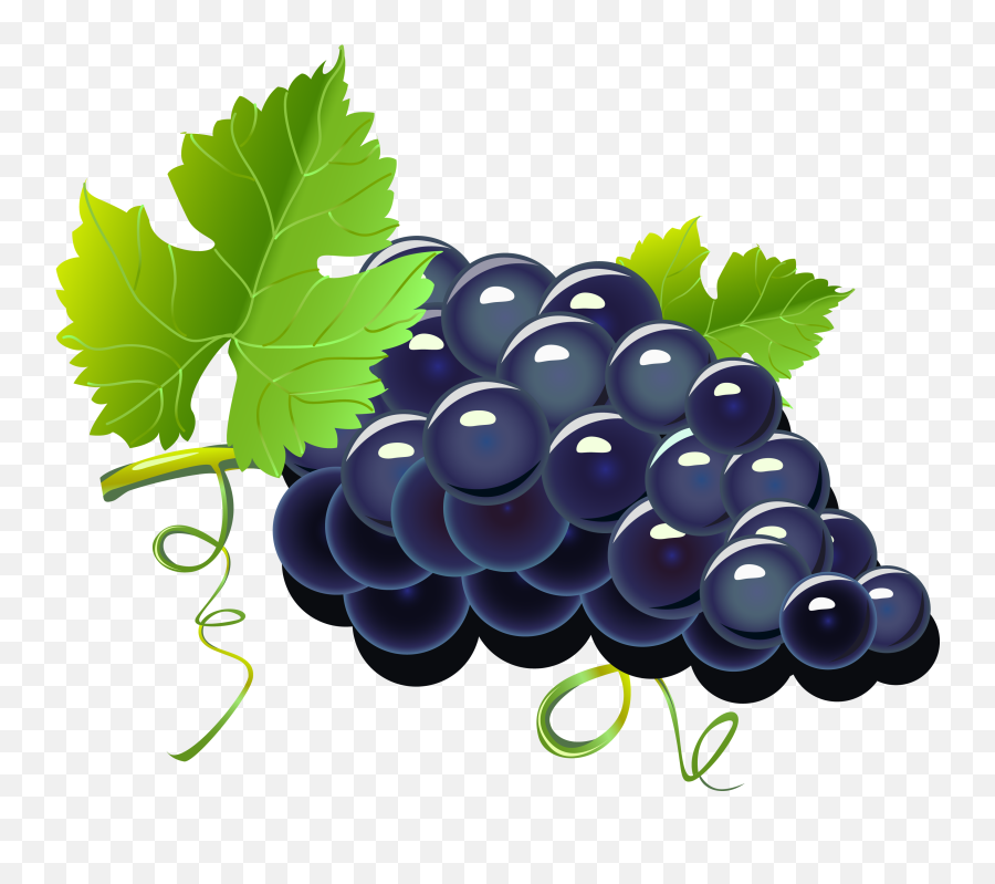 Free Png Grapes - Konfest,Grapes Png