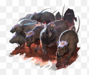 Cranium Rat - Angry Rats Dnd Png,Rats Png