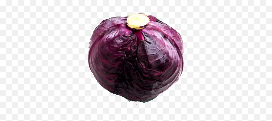 Purple Cabbage Png Transparent Image Arts - Repollo Morado,Cabbage Png