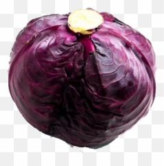 Purple Cabbage Png Transparent Image Arts - Repollo Morado,Cabbage Png