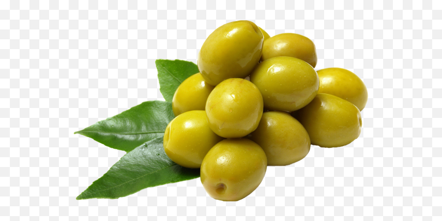 Olive Oil For Pregnant Women - Olives Vertes Fond Transparent Png,Olive Png