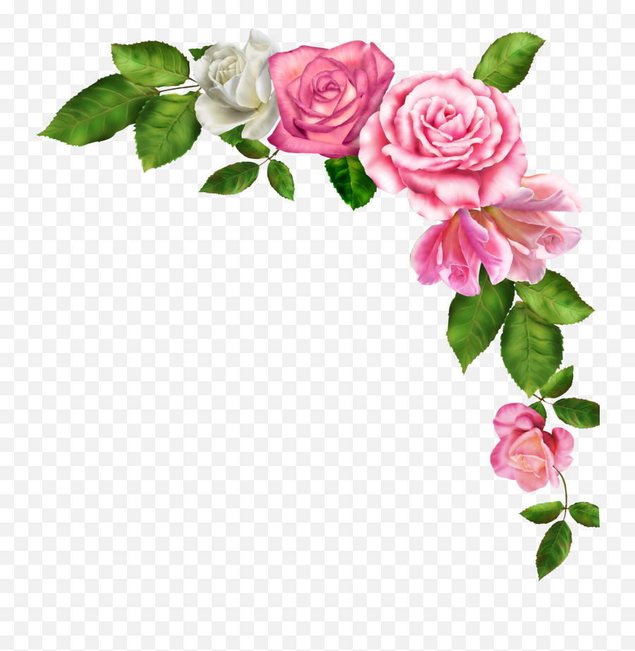 Library Of Pink Flower Border Vector - Pink Flower Border Png,Rose Border Transparent