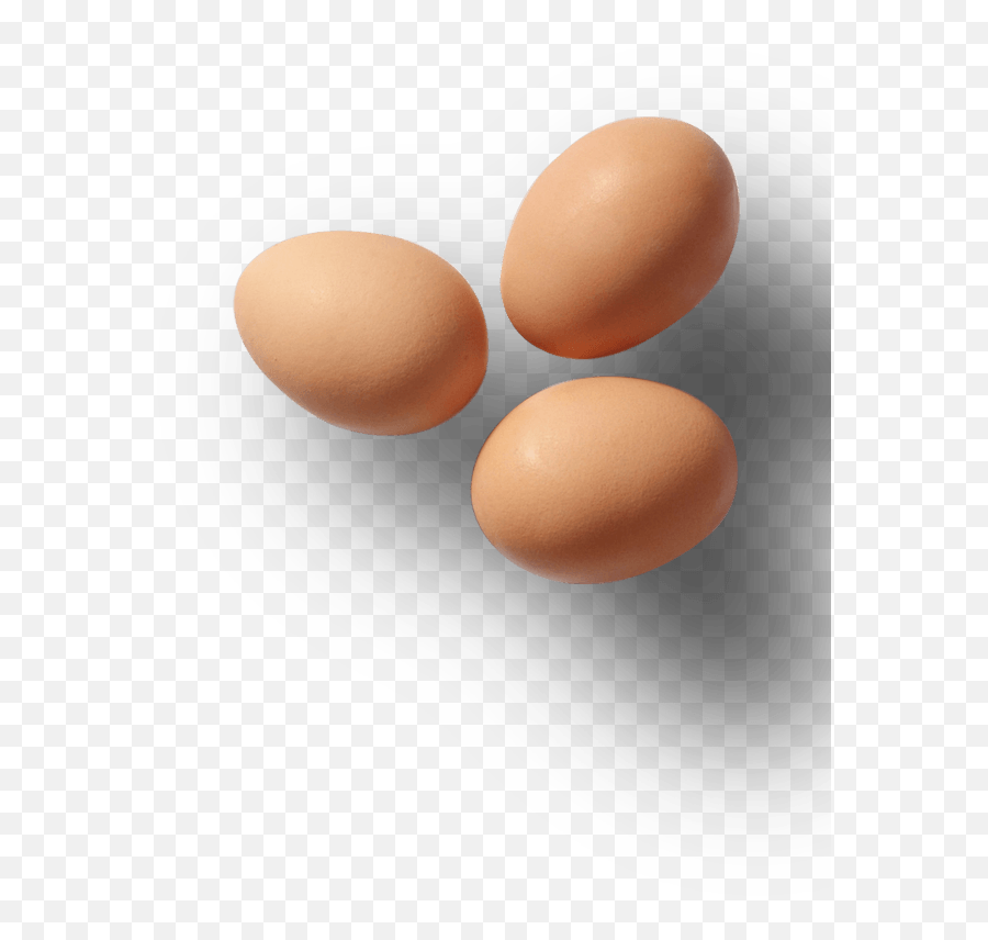 Download Eggs - Egg Png Image With No Background Pngkeycom Soy Egg,Egg Png