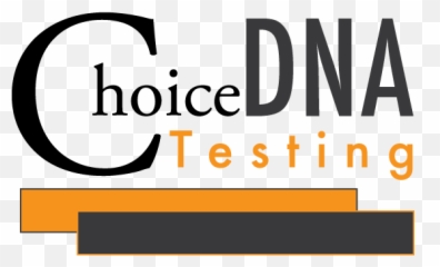Terms And Conditions - Choice Dna Merrillville Indiana Png,Dna Logo